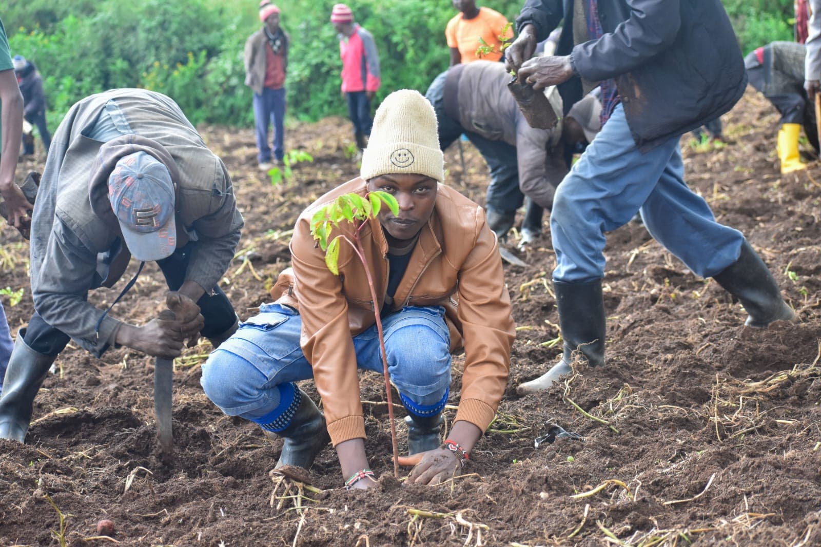 Youth, environmentalists plant trees to restore Baraget forest ecosystem