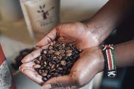 1,000 coffee farmers earn 50% more from direct sales to Korea