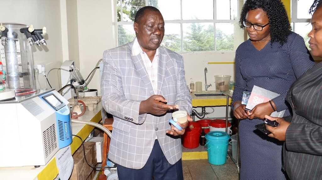 Egerton discovers herbal remedy preventing coccidiosis in 80% of poultry