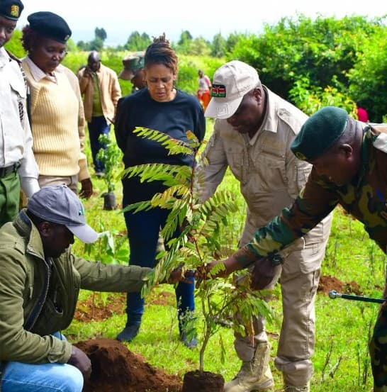 State Department for Wildlife leads tree-growing drive at Loitoktok