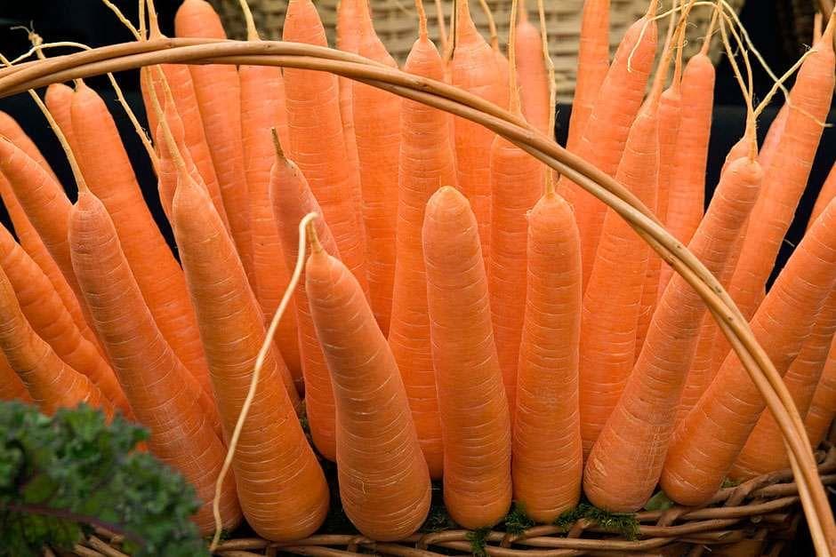 Mombasa paying highest prices for agro-produce