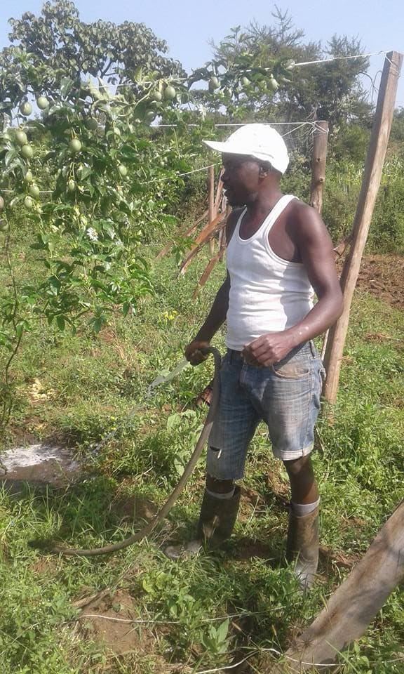 Eldoret passion farmer earning up to Sh70,000 a week after leaving chaotic ‘mitumba’ business