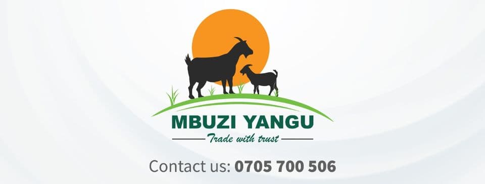Marketer creates online platform helping farmers find ready goat market