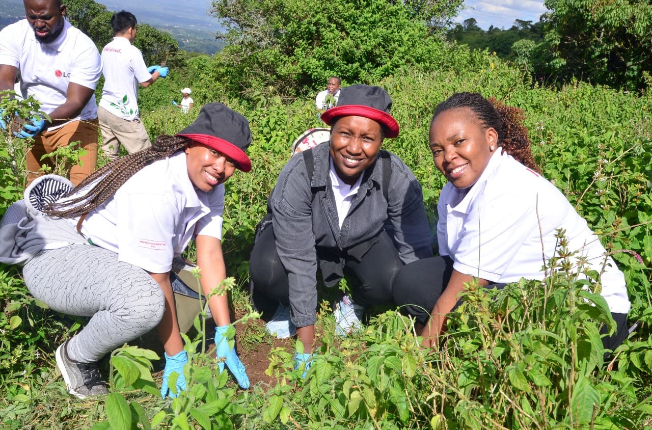 300 trees planted in an effort to restore Kenya’s ecological systems