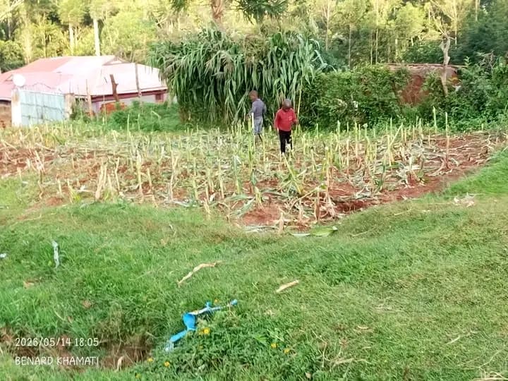 Ebusakami–Majengo Road clearance sparks protests