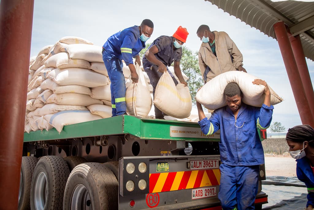 Reprieve for farmers & consumers as gov suspends maize, animal feed levies