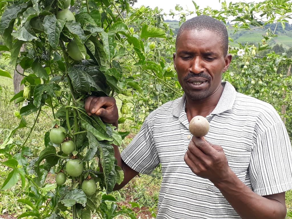 Call to regain Kenya’s passion