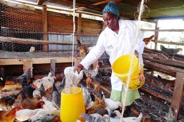 I turned my chicken farm from losses to making up to Sh. 126,000 monthly