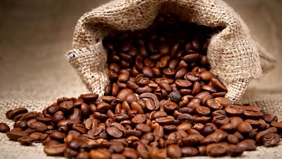 New KPCU Announces Coffee Extension Champions Training Programme