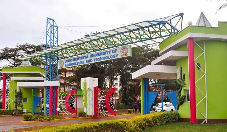 Kenyan Student Commit Suicide After US Scholarship Denial