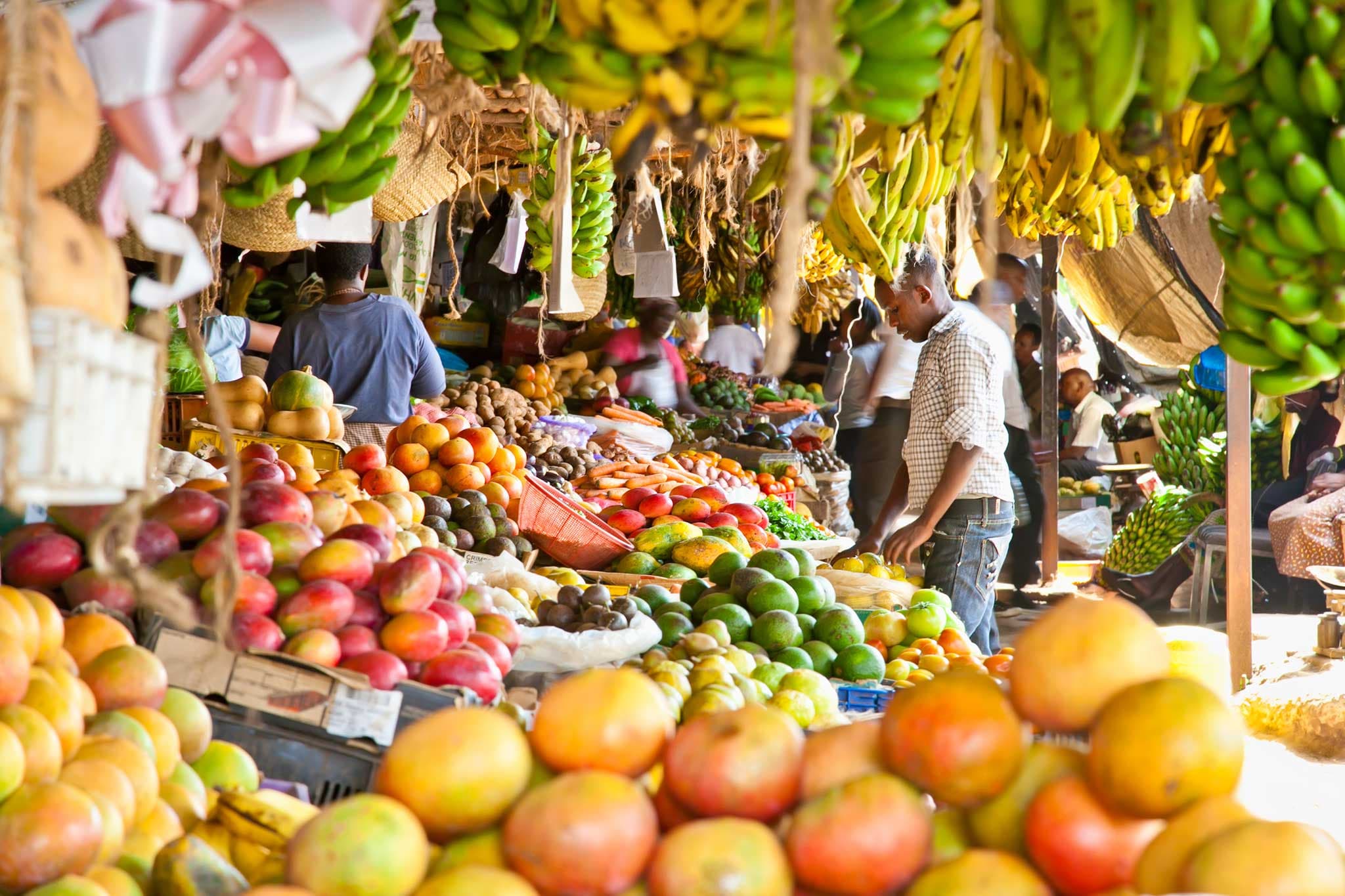 FarmBizAfrica launches open marketplace for farmers