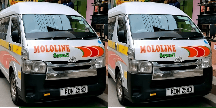 Inside Mololine’s Rise from a Nakuru Shuttle to a National Brand