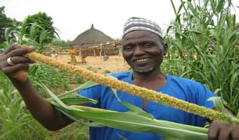 Conservation agriculture manual launched for Muslim farmers