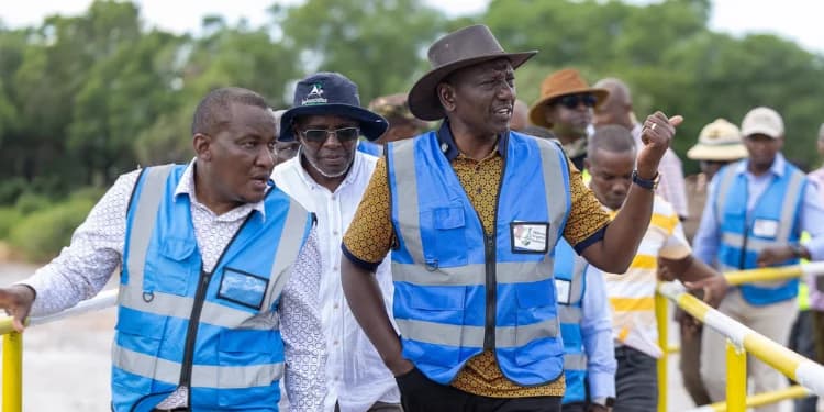 Galana-Kulalu Investors: Companies Betting Billions on 301,330 Acres in Kenya