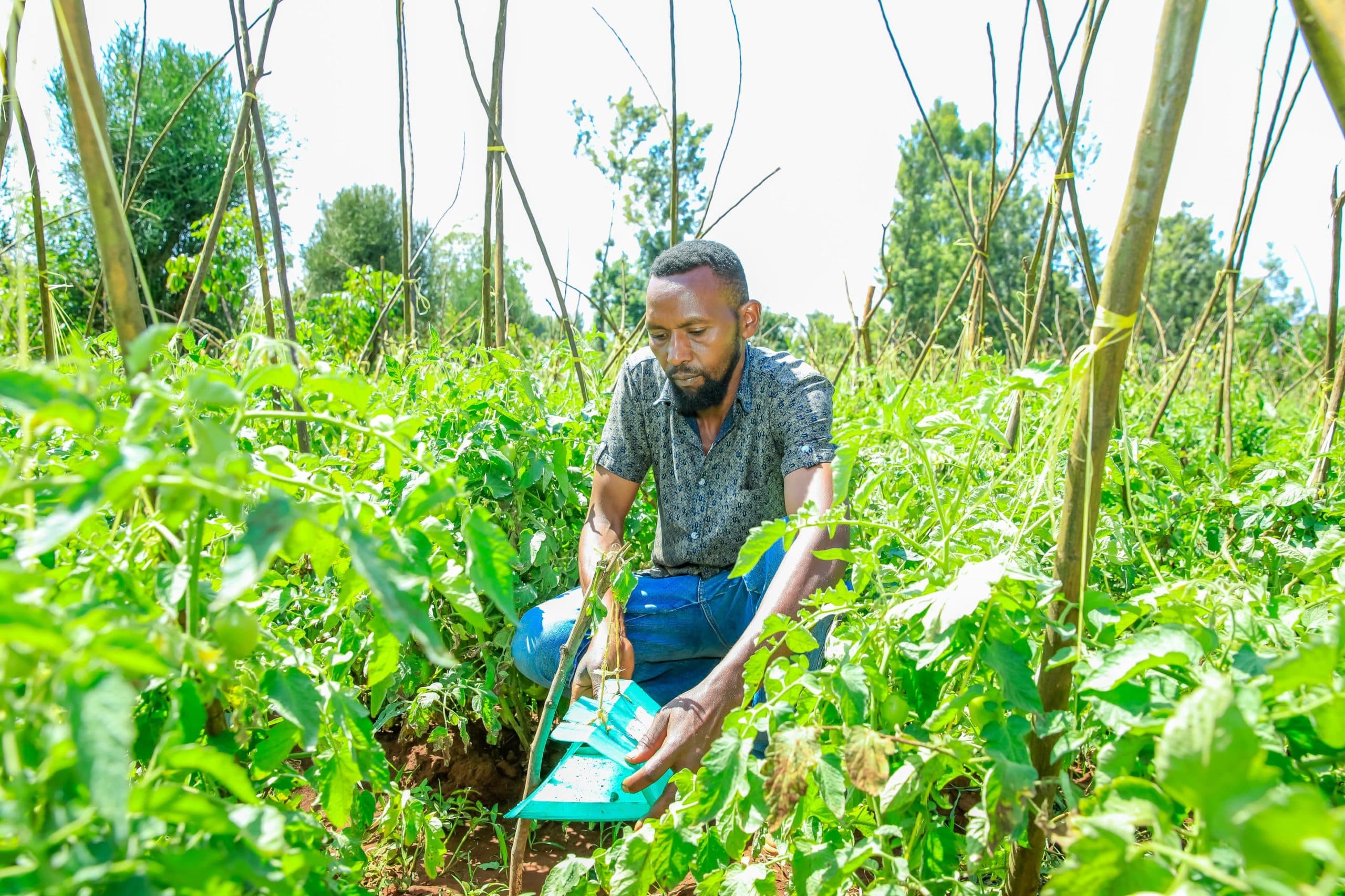 Waiguru launches safe pest management training to curb agro-chemical use