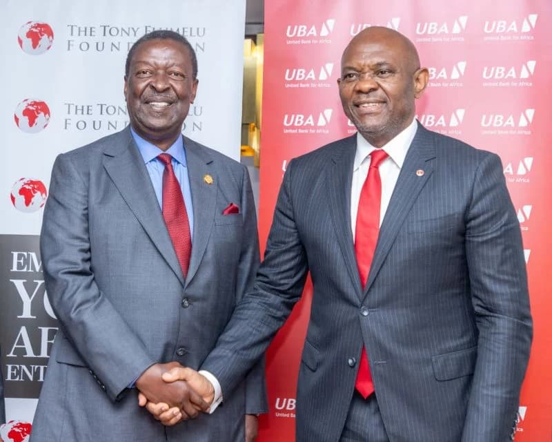 Mudavadi Courts Nigeria’s Elumelu to Grow Investments in Kenya