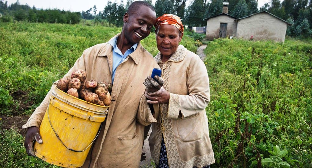 Sharing information with farmers bolsters production