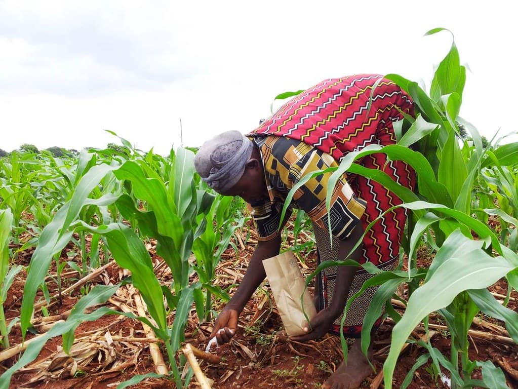AfDB distributes fertilizer to 100,000 Kenyan smallholder farmers