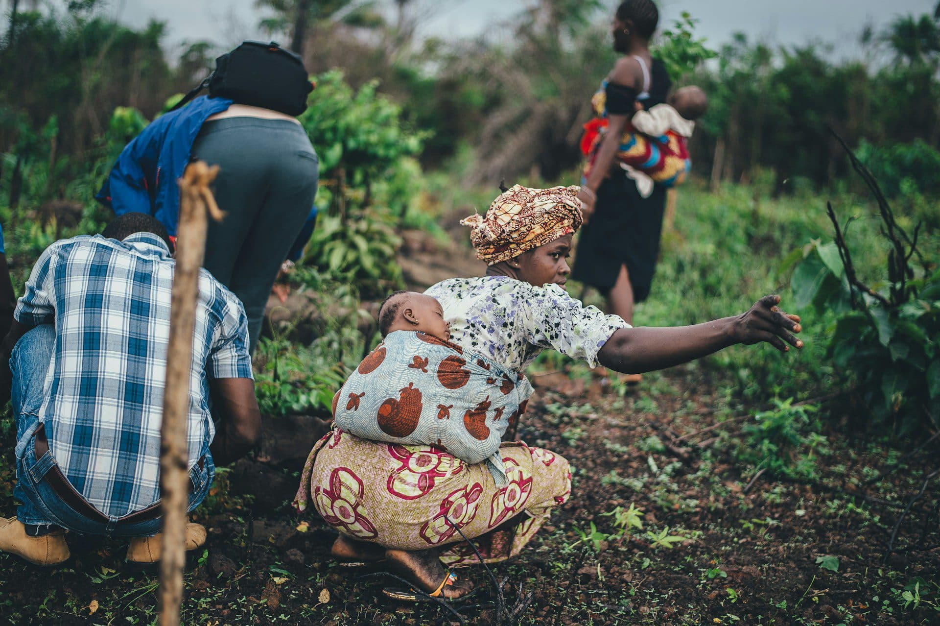 Digital Loans Emerge as Key Tool for Kenyan Farmers Battling High Input Costs