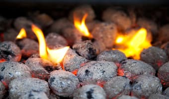 Slum dwellers earn from livestock waste briquettes