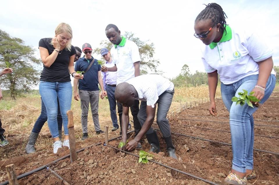 Israel trained Kiambu farmer earning Sh760,000 from short-term crops
