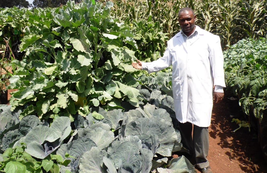 Vegetable prices double in Nairobi
