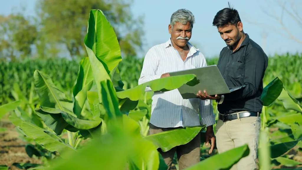 Agricultural technologies of future: automation of agriculture in Global South