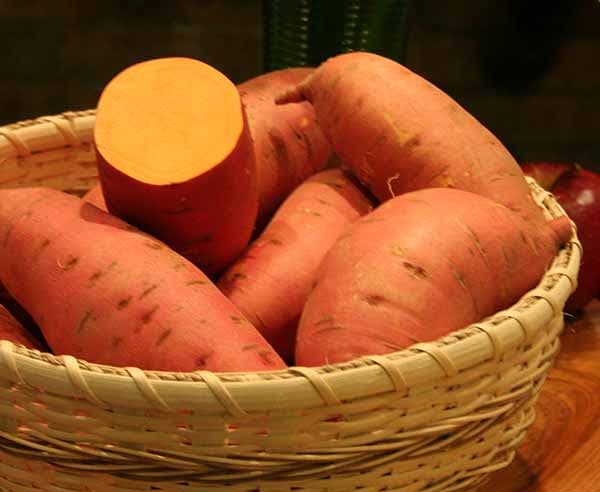 Farmer triples his income by growing orange fleshed sweet potato