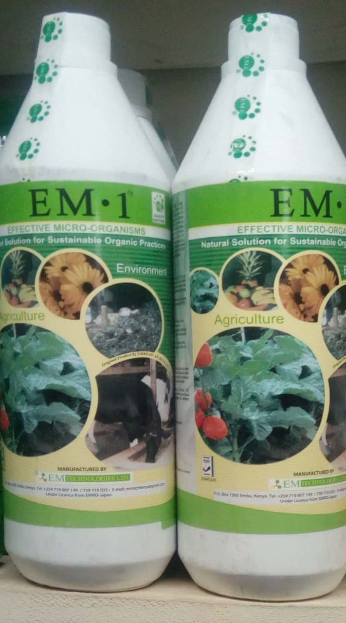 Kakamega farmer raises yields with homemade organic fertilizer solution