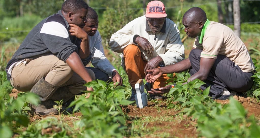 Soil testing improving farmers out put