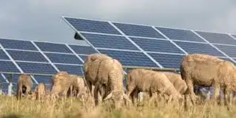 Ohio Power Siting Board Denies 94 MW Crossroads Solar Project in Morrow County