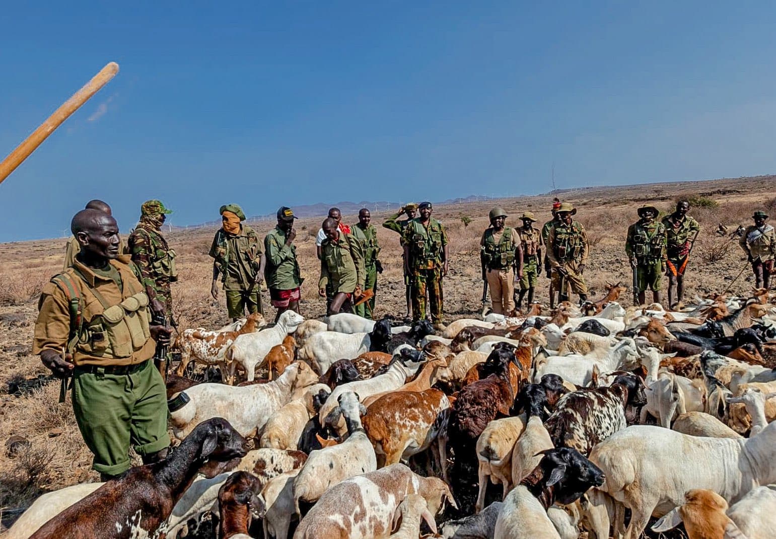 Security team recovers over 400 livestock after Marsabit raid