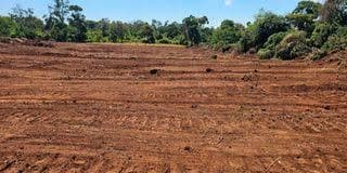 Court stops public participation on proposed Meru State Lodge, airstrip