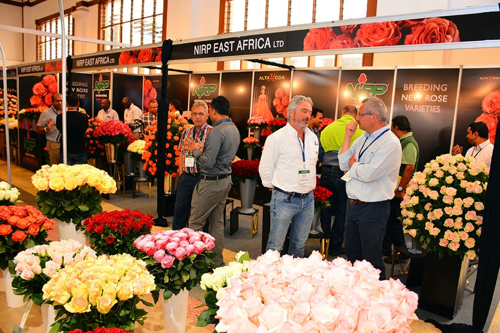 Kenya’s horticulture sector eyes Chinese market to boost revenues