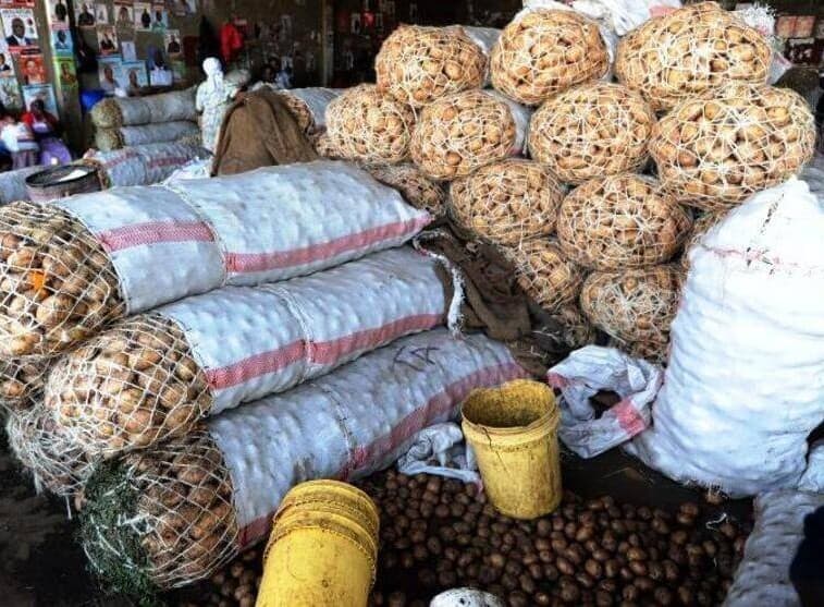 Nyandarua SACCO turns middlemen power into farmer power, with smart group management