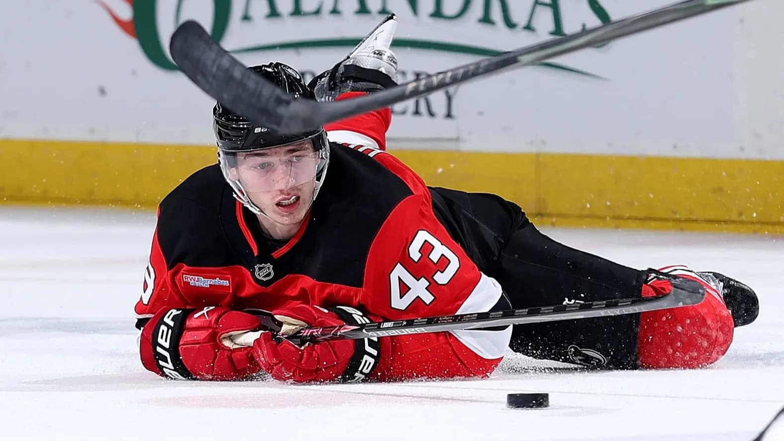 Luke Hughes Siblings: All About Jack and Quinn Hughes