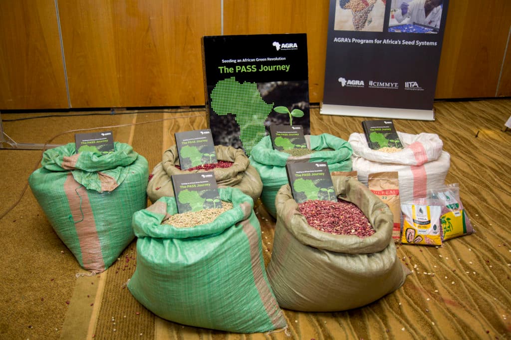 Better seeds help African farmers see higher yields and incomes