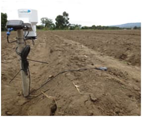 Innovative device informs farmers when to irrigate avoiding nutrient loss