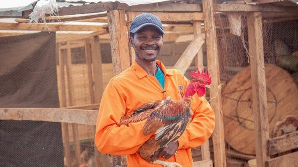 New market app increases monthly chick sales by 2,500 for poultry farmer