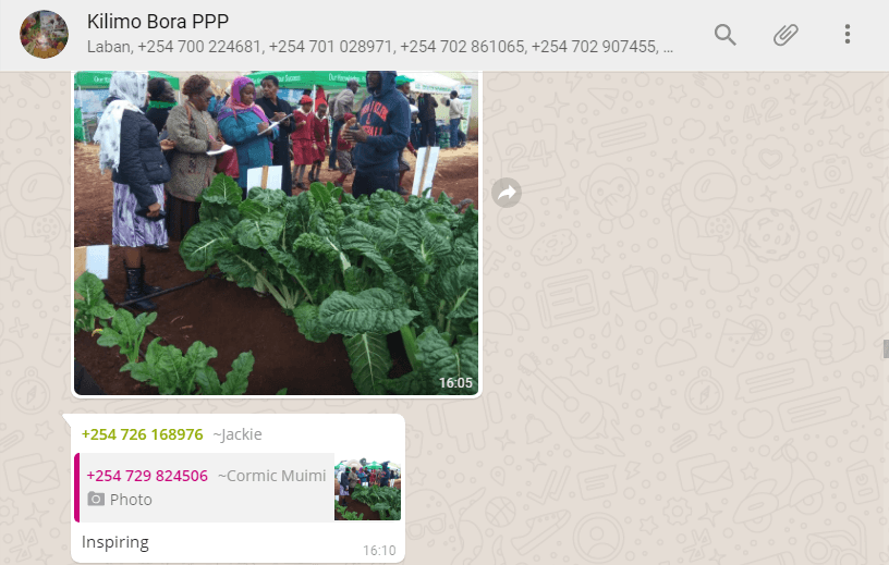 WhatsApp group help farmers access farming Information