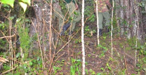 Police recover human bones in Nzaui Forest, Makueni County