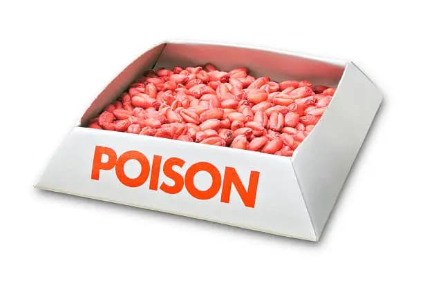 How Long Does Rat Poison Take to Work