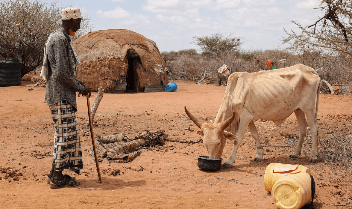 Drought Worsens in Kenya’s Arid Areas, Millions Face Starvation