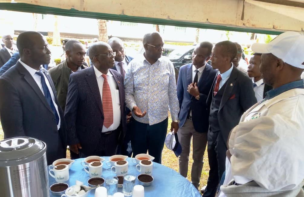 Kenya targets youth, technology to revitalize tea sector