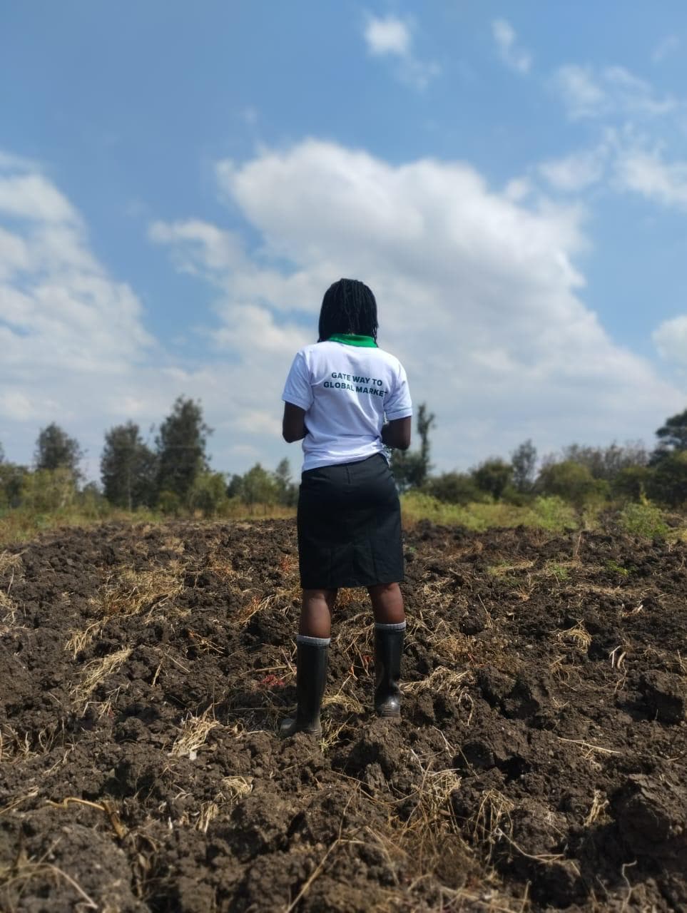 Murang’a farmer launches 20,000 chilli seedling nursery after fakes lose her Sh197k