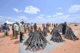 Murkomen says at least 2,000 guns recovered from bandits in operations