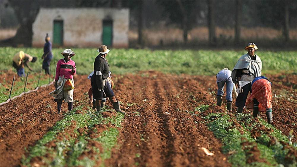 Soil book captures Africa’s projects to tame infertility