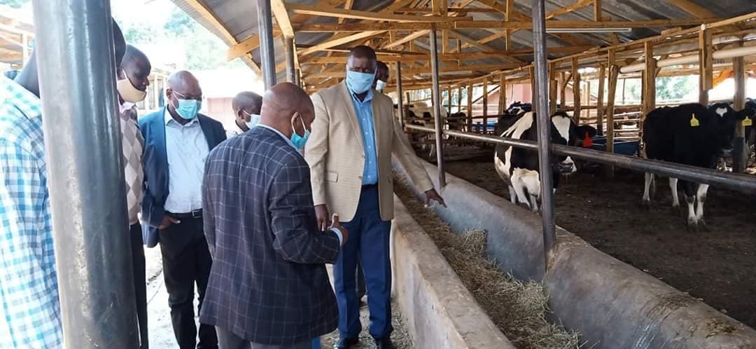 Kericho farmer builds model dairy unit after moving from open field to zero-grazing