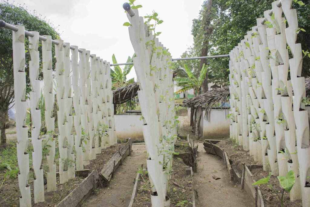 Mombasa families pull vegetables into diets by growing vegetable towers in plastic pipes