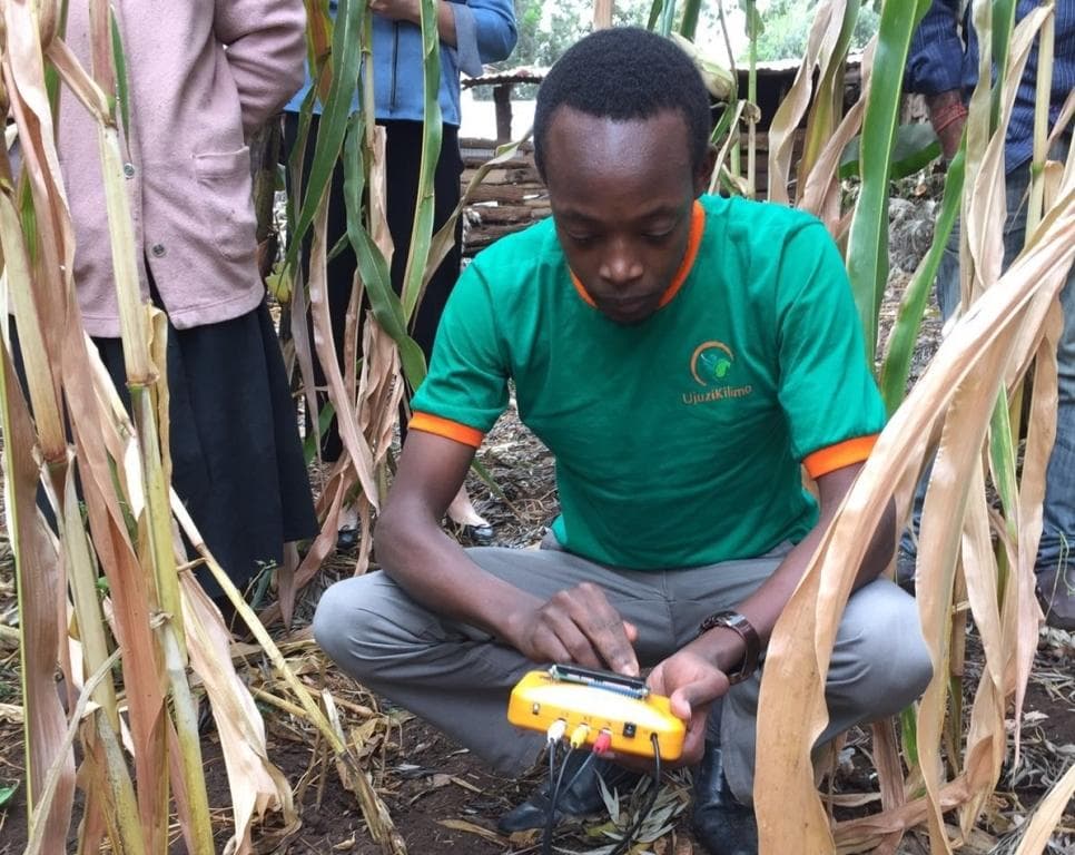 Ujuzikilimo helps farmers get personalized weather updates, crop management and market information